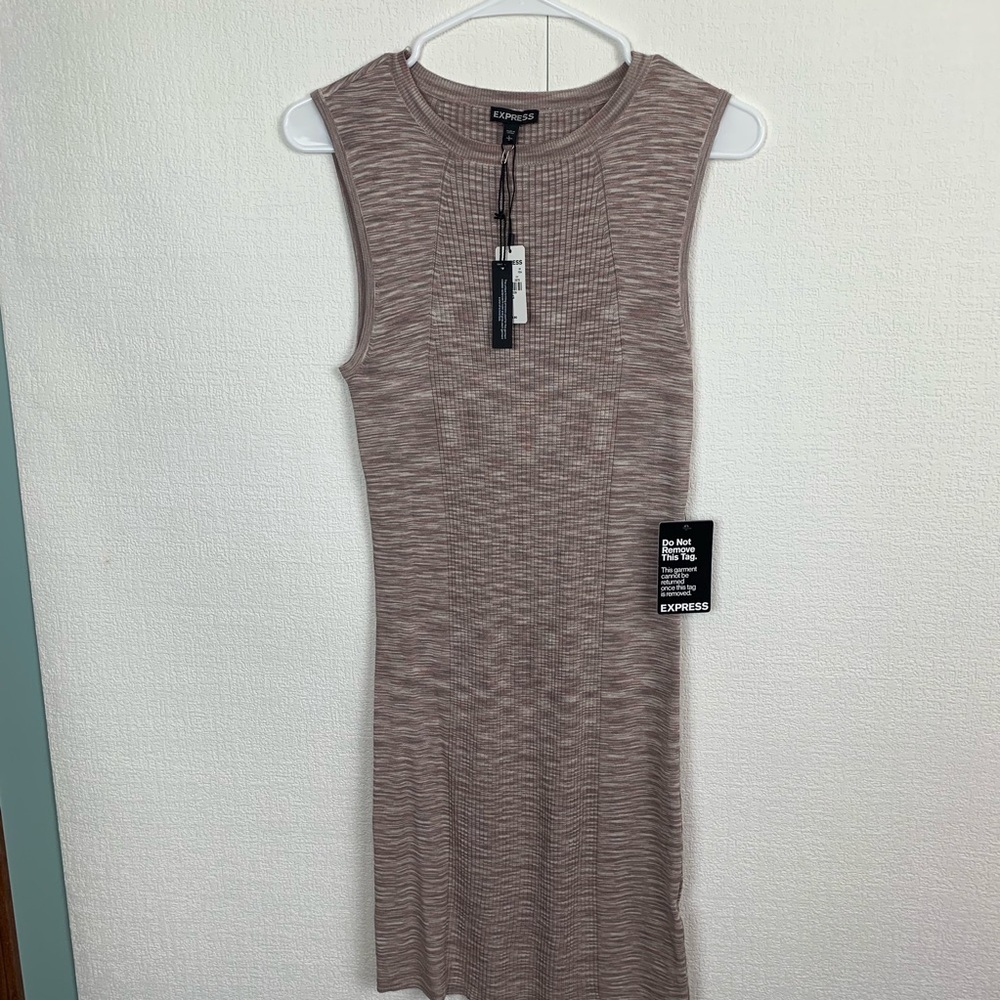 Express Bodycon Dress NWT